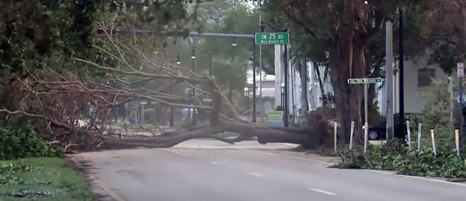 After Hurricane Irma in Miami