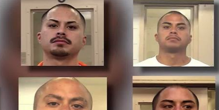 new mexico bail reform news