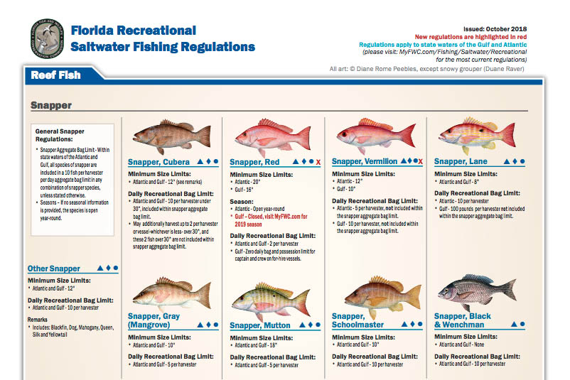 Florida Fishing Regulations Chart